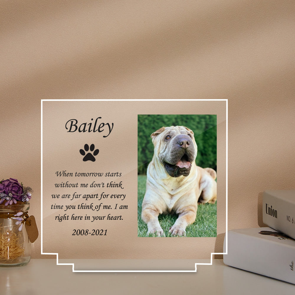 Custom Pet Memorial Night Light Personalized Bedroom Decor