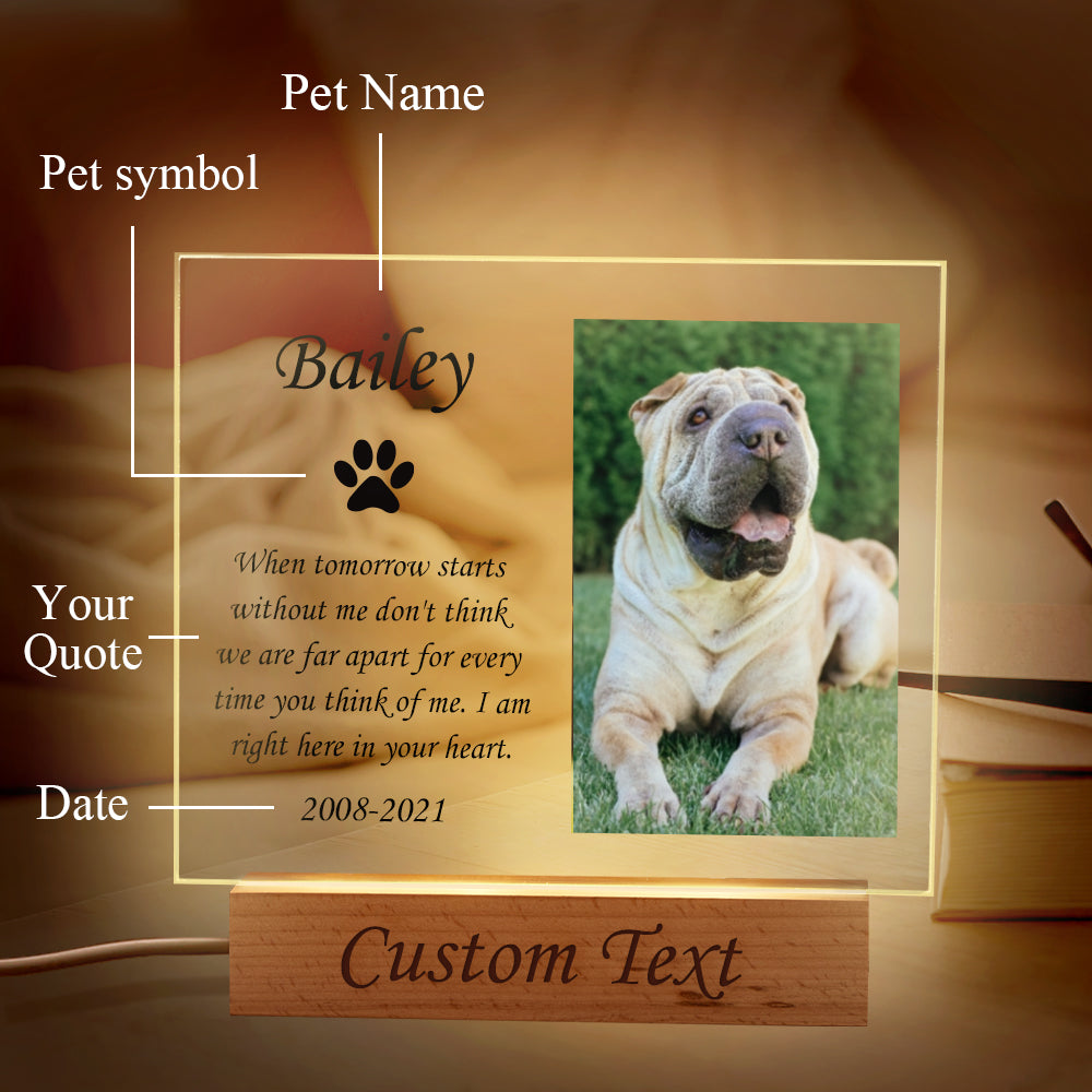 Custom Pet Memorial Night Light Personalized Bedroom Decor