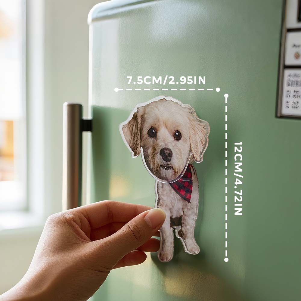 Personalized Refrigerator Magnet with Photo Pet Portrait Fridge Magnets Decal Home Decoration