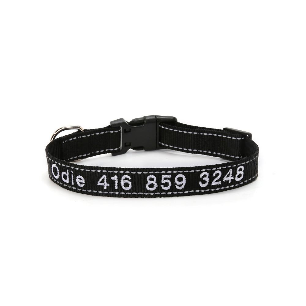 Personalized Dog Collar for Dog Leash