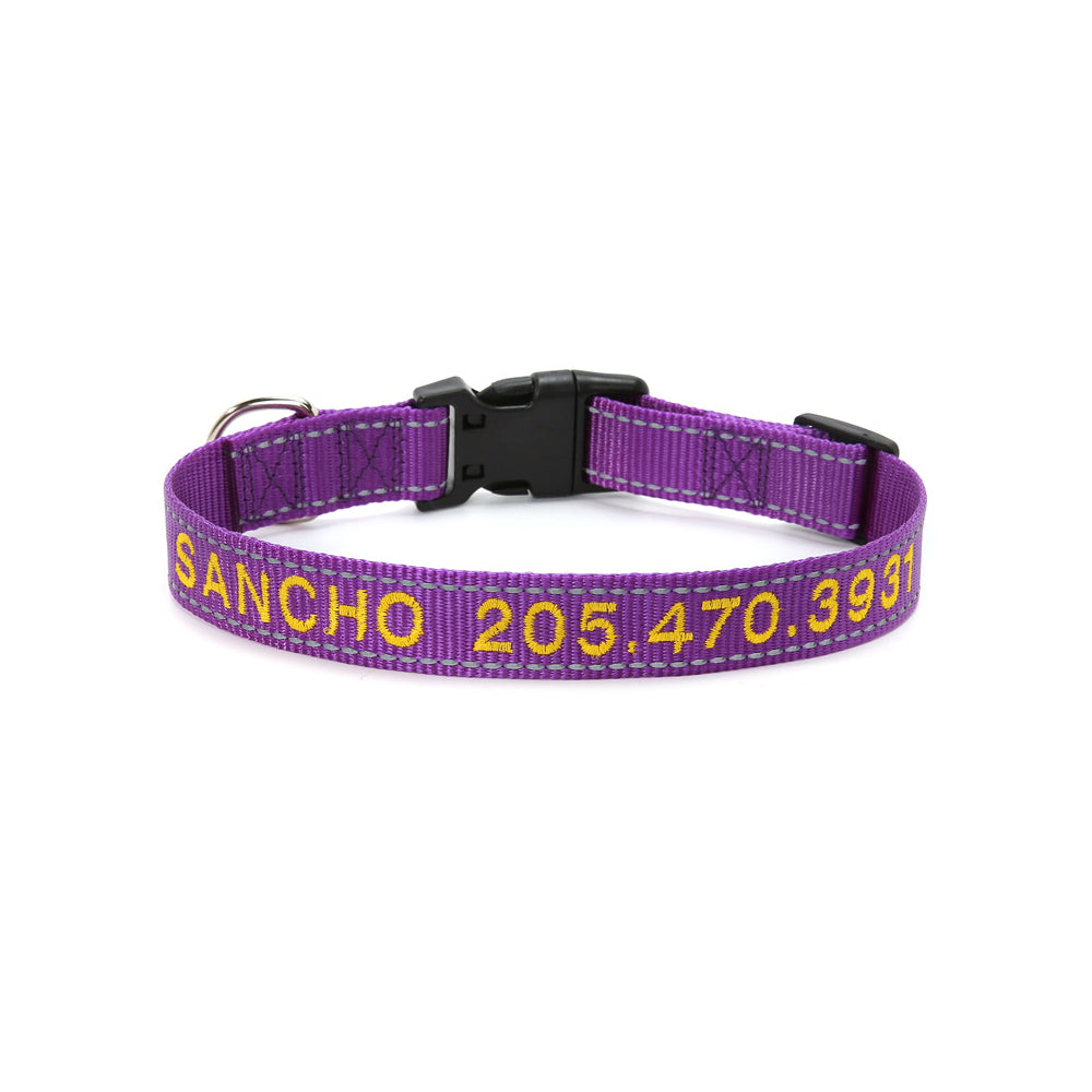 Personalized Dog Collar for Dog Leash