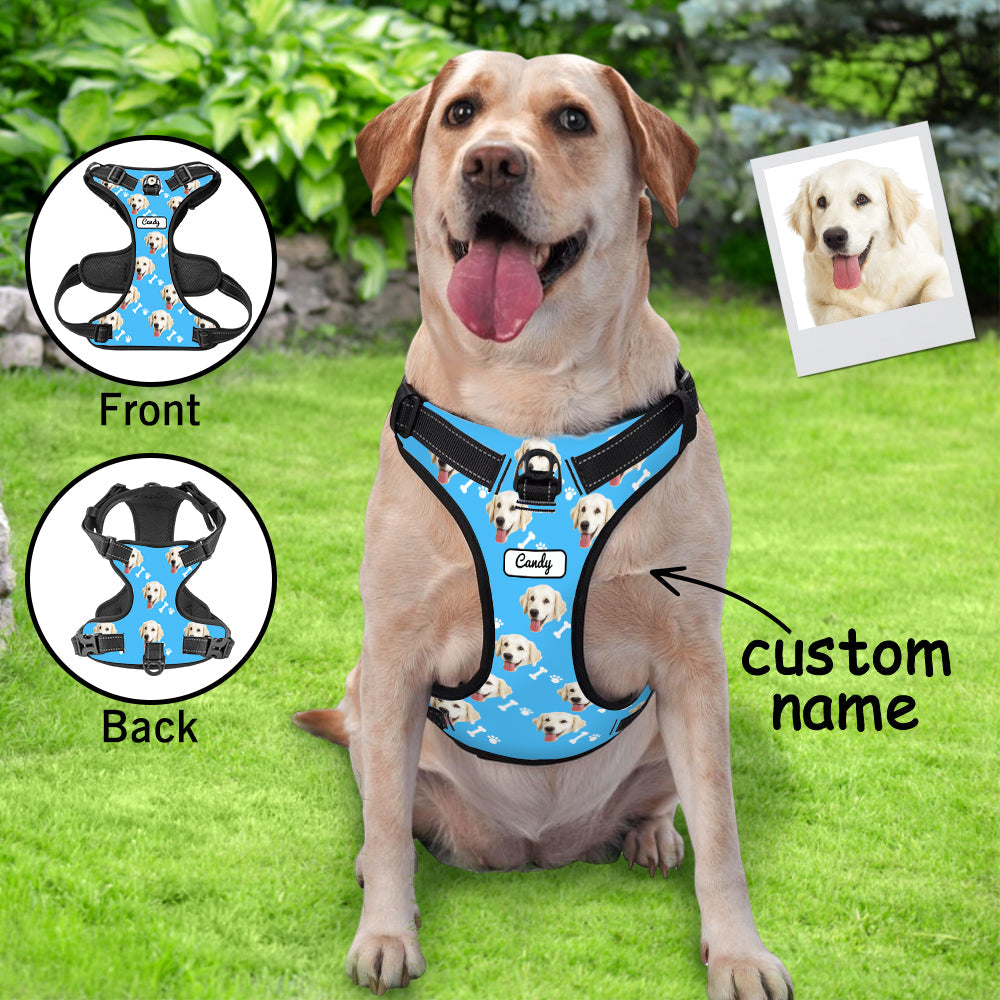 Custom Dog Harness Adjustable Reflective Vest No Pull Dog Harness Gift for Pet Lovers