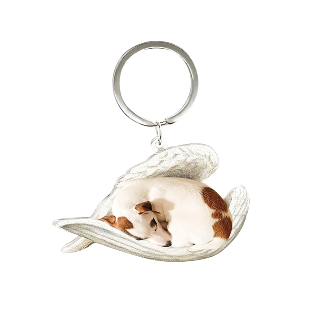 Custom Keychain Pet Sleeping Angel Acrylic Keychain Gift for Pet Lovers