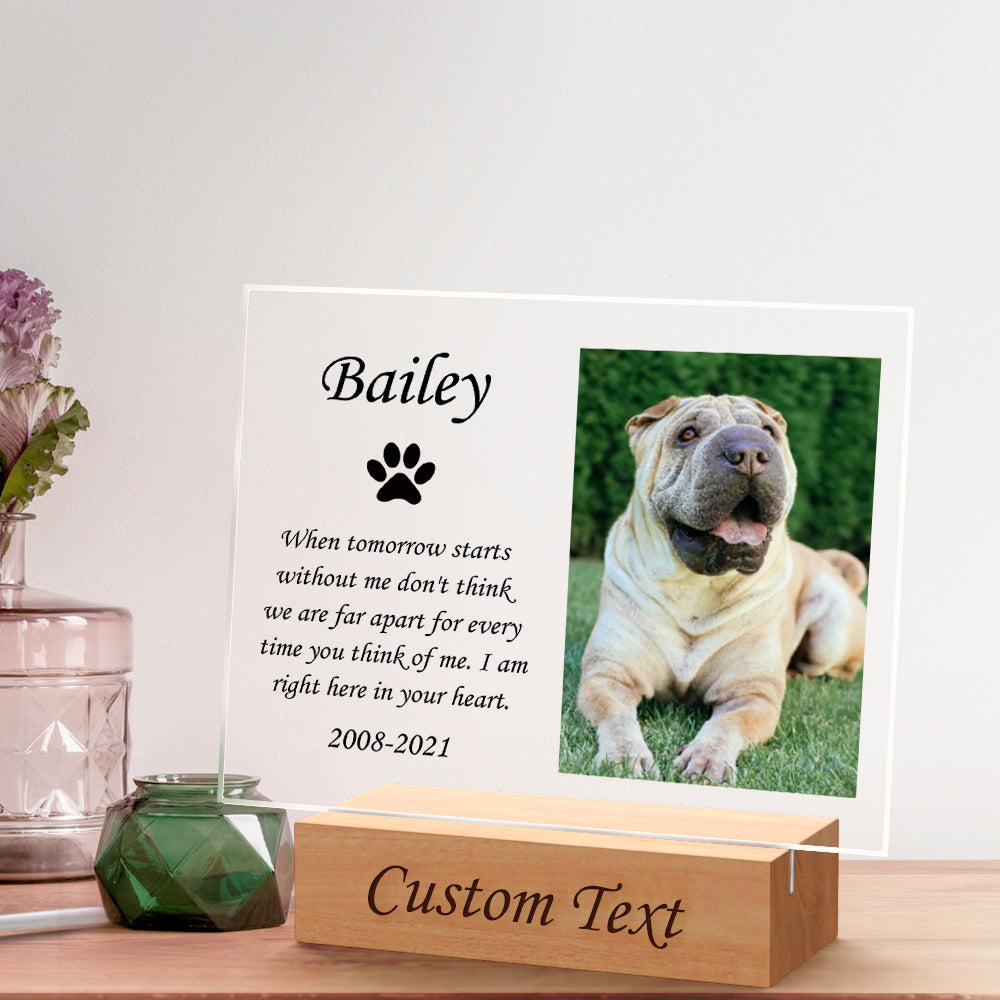 Custom Pet Memorial Night Light Personalized Bedroom Decor