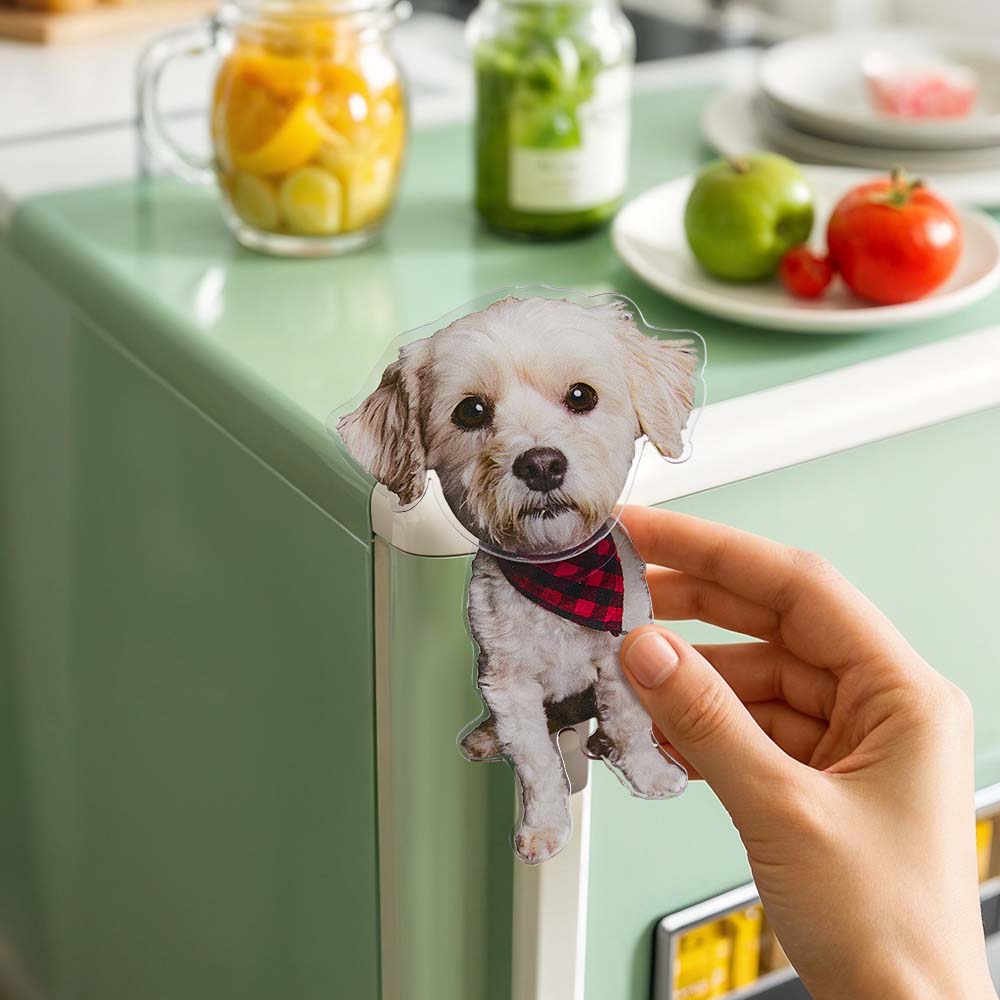 Personalized Refrigerator Magnet with Photo Pet Portrait Fridge Magnets Decal Home Decoration