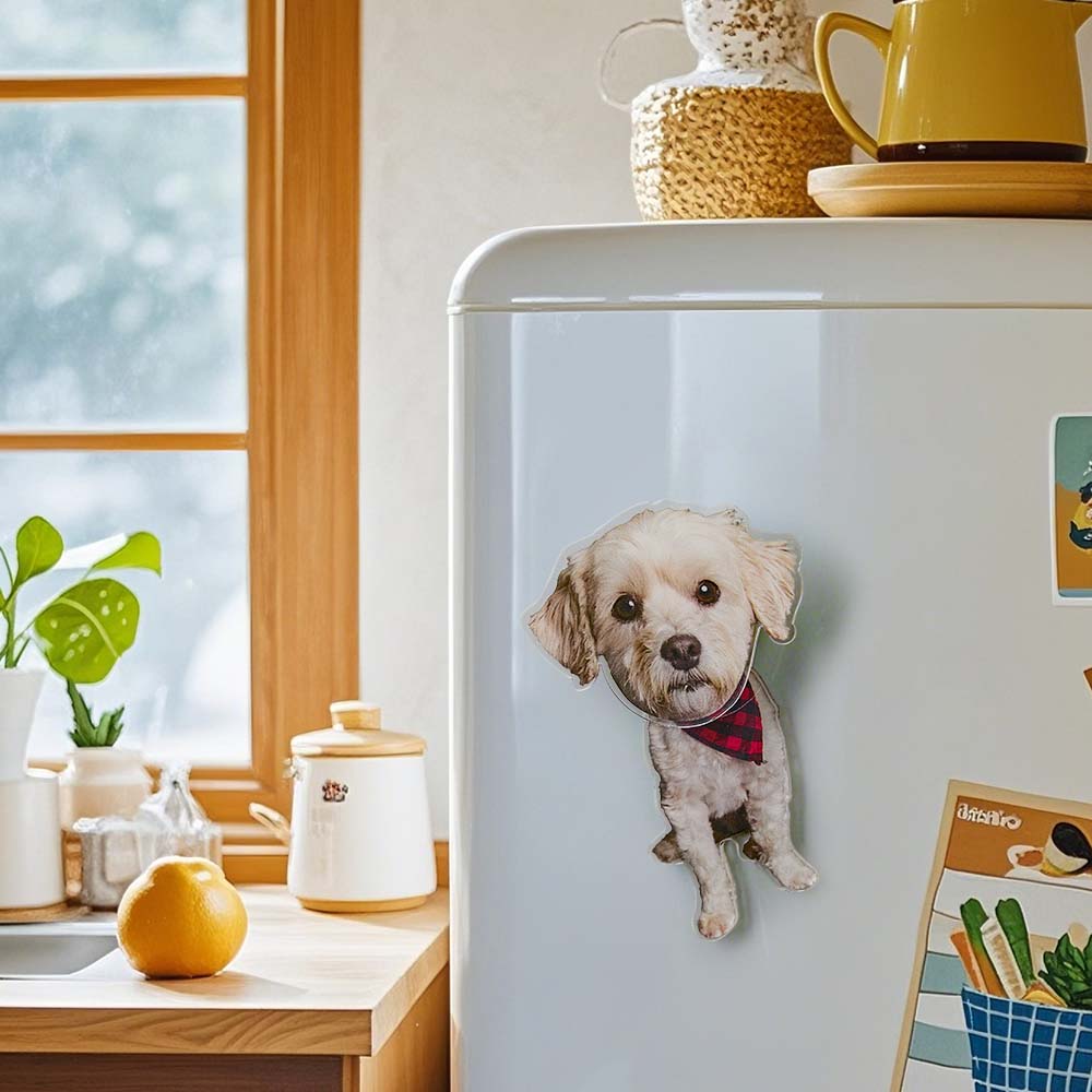 Personalized Refrigerator Magnet with Photo Pet Portrait Fridge Magnets Decal Home Decoration