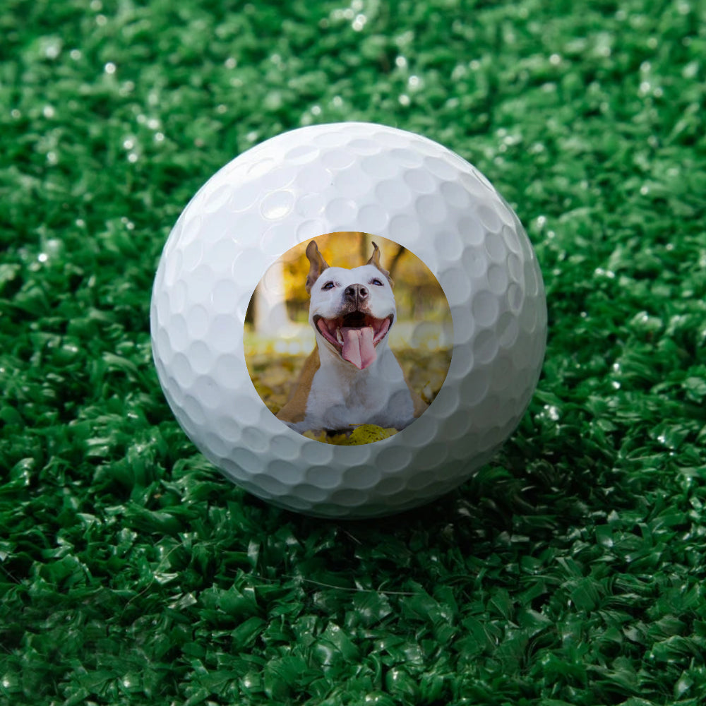 Custom Golf Ball with Picture