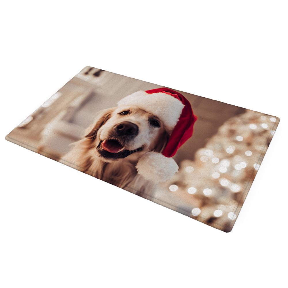 Custom Front Door Mat Photo Welcome Floor Mats For Home Decor