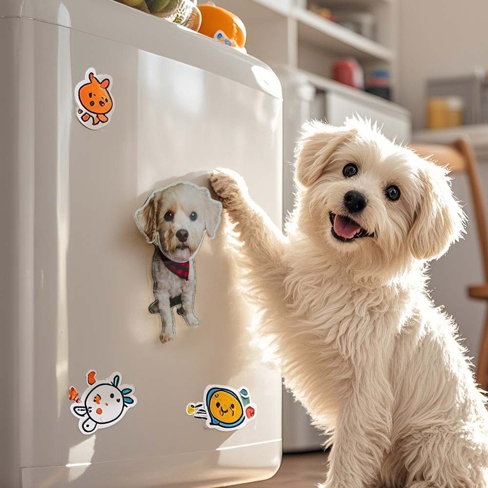 Personalized Refrigerator Magnet with Photo Pet Portrait Fridge Magnets Decal Home Decoration